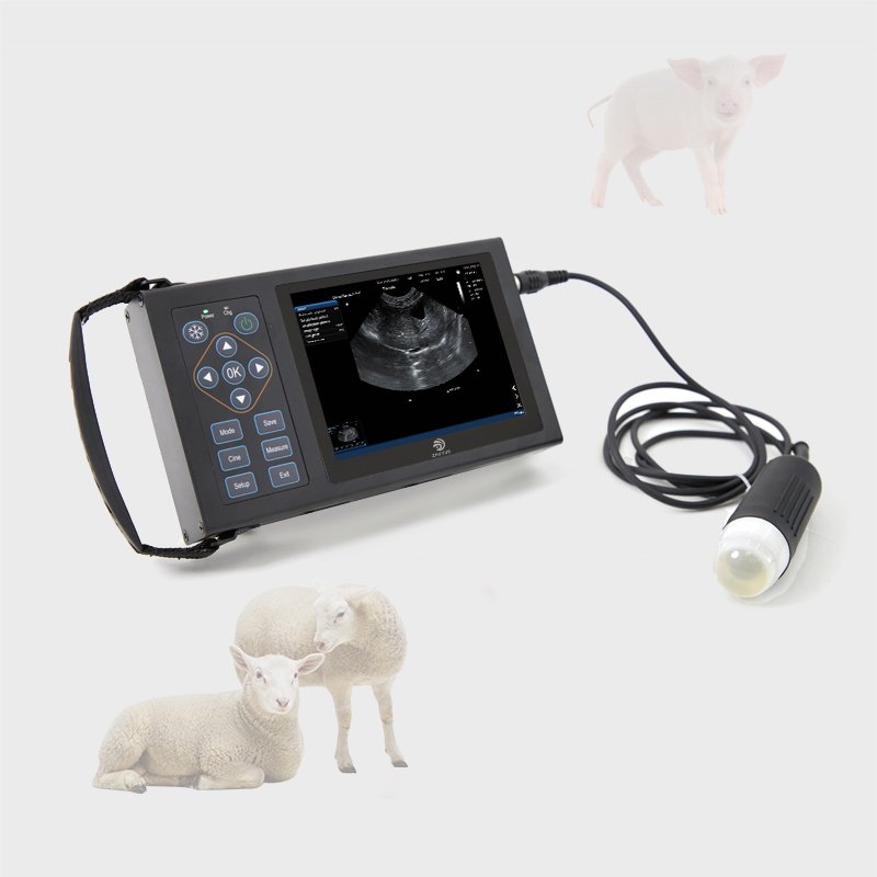 China Animal usg machine portable echo 4d ultrasound diagnostic ultrasound system usb ultrasound probe for laptop
