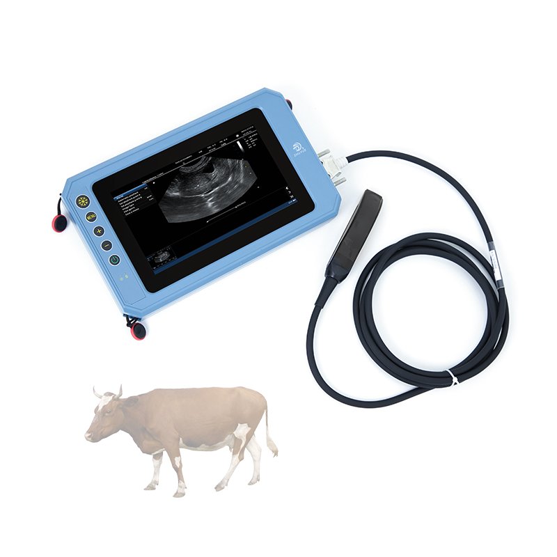 Veterinary Ultrasound Machine Portable Ultrasound Machine For Veterinary Use Veterinary Cardiac Ultrasound Machine