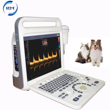 Rayman 15 Inches Vet Ultrasound machine Veterinary Ultrasound Portable Color Doppler Ultrasound Machine