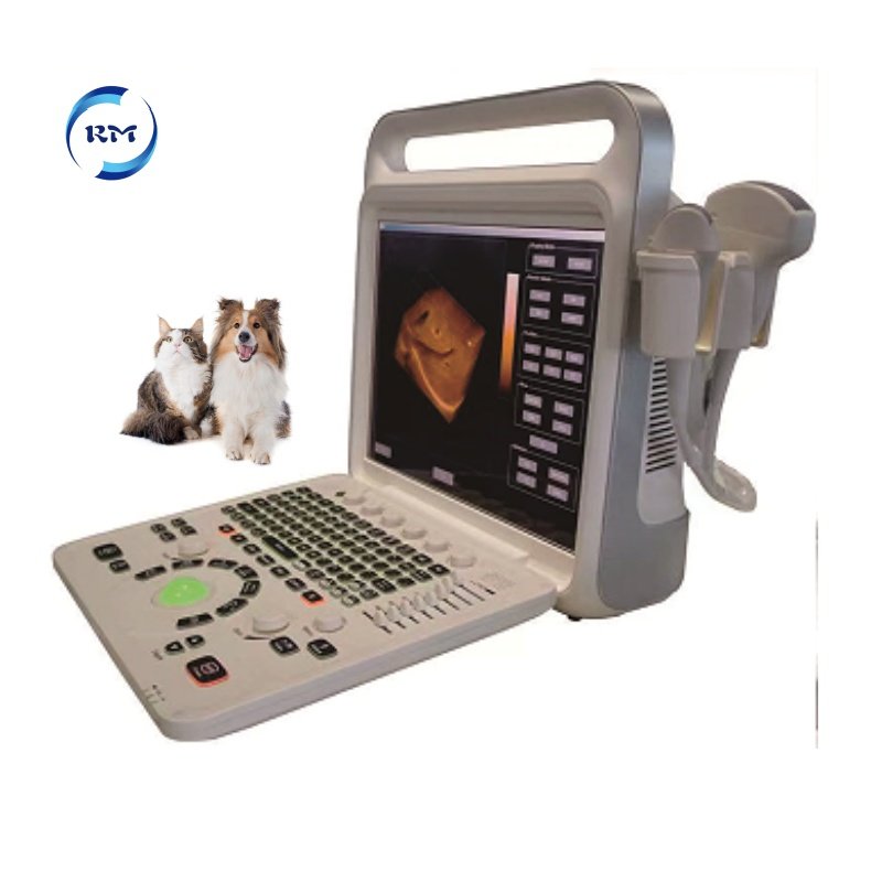 Rayman 15 Inches Vet Ultrasound machine Veterinary Ultrasound Portable Color Doppler Ultrasound Machine