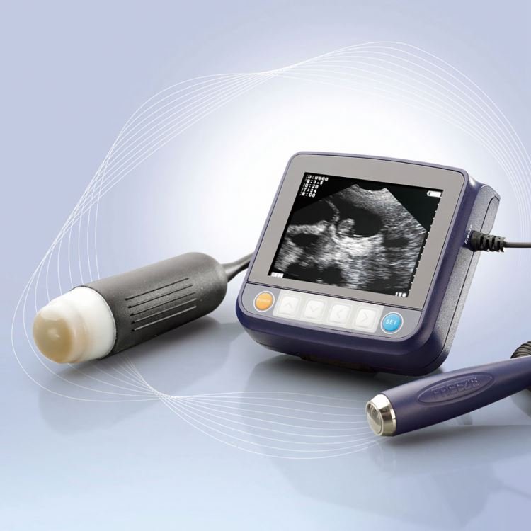 Portable Ultrasonic Diagnostic Devices Type handheld veterinary cow pig ultrasound machine