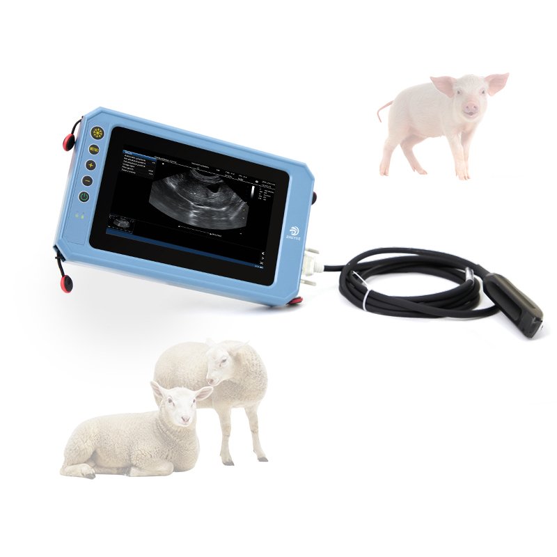Handheld color doppler T6 pro 3D Portable mini vet ultrasound machine price