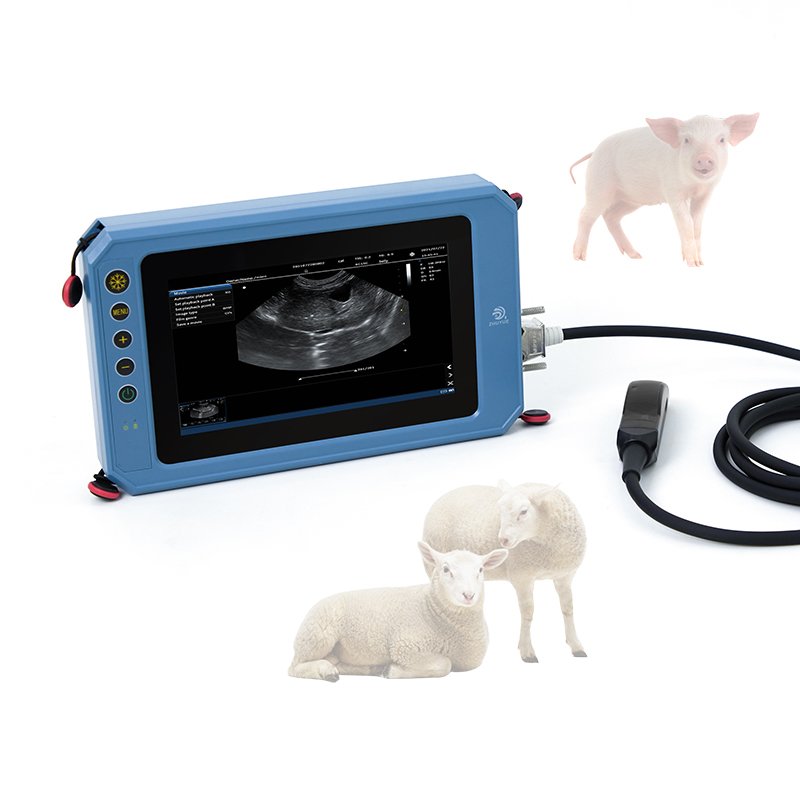 Handheld color doppler T6 pro 3D Portable mini vet ultrasound machine price