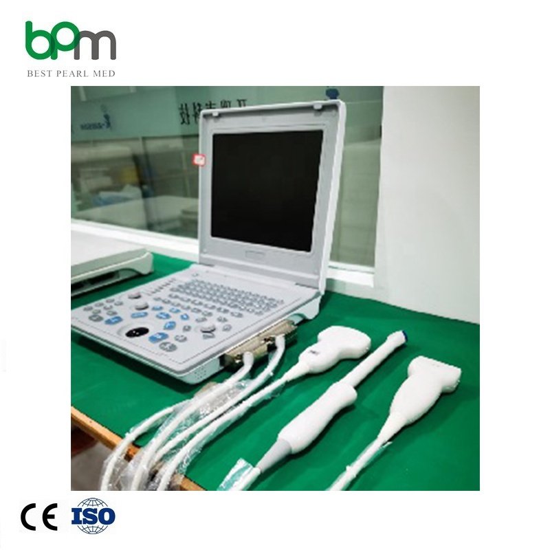 veterinary ultrasound portable color doppler medical ultrasound instruments vet 3d and 4dveterinary ultrasound