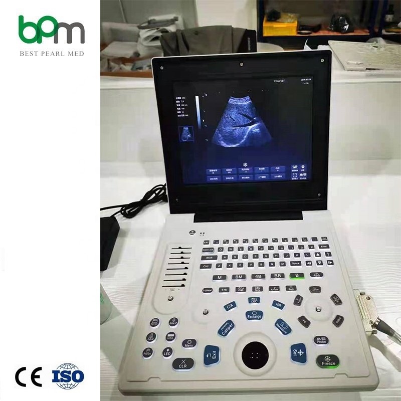 veterinary ultrasound portable color doppler medical ultrasound instruments vet 3d and 4dveterinary ultrasound