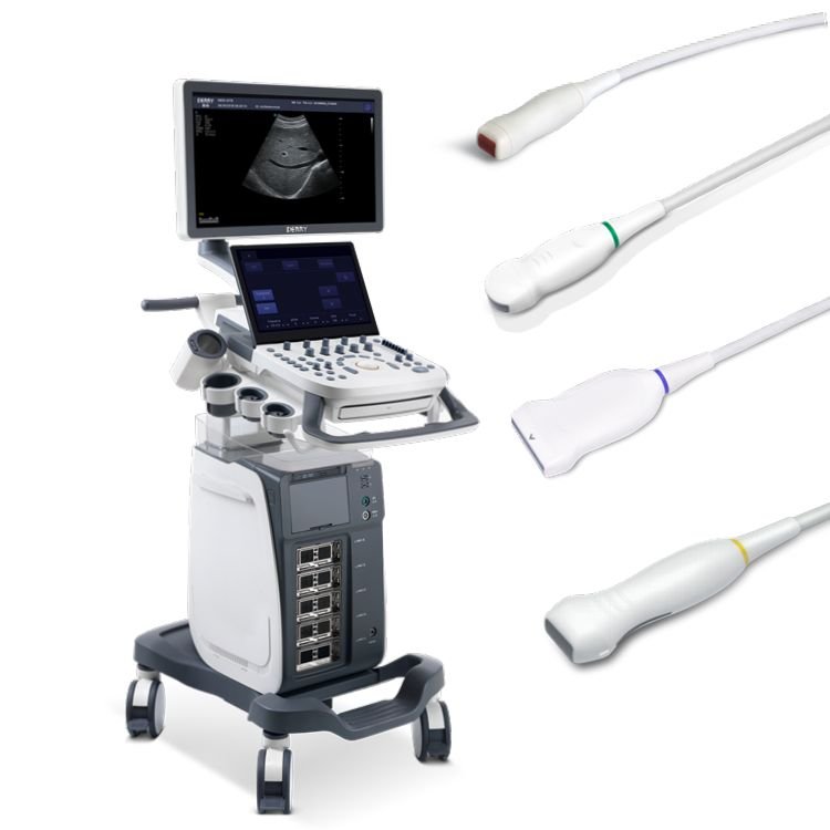 High Quality Derry VS7 Veterinary Medical Machine Color Doppler Ultrasound System Vet Handheld Scanner Device Small Animal