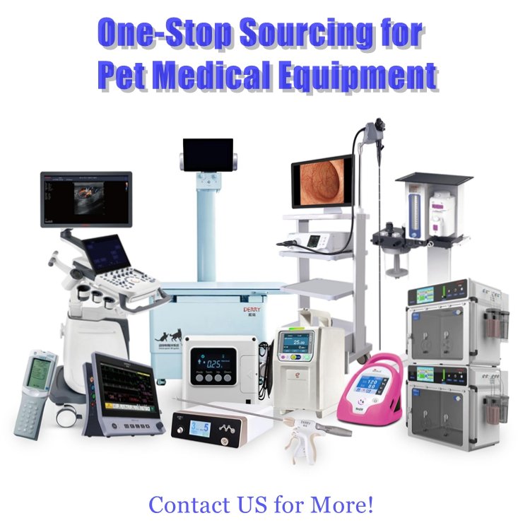 High Quality Derry VS7 Veterinary Medical Machine Color Doppler Ultrasound System Vet Handheld Scanner Device Small Animal