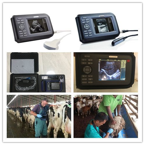 medical ultrasound instruments Small vet Veterinary ultrasound animals dog/horse usg machine price SUN-808F