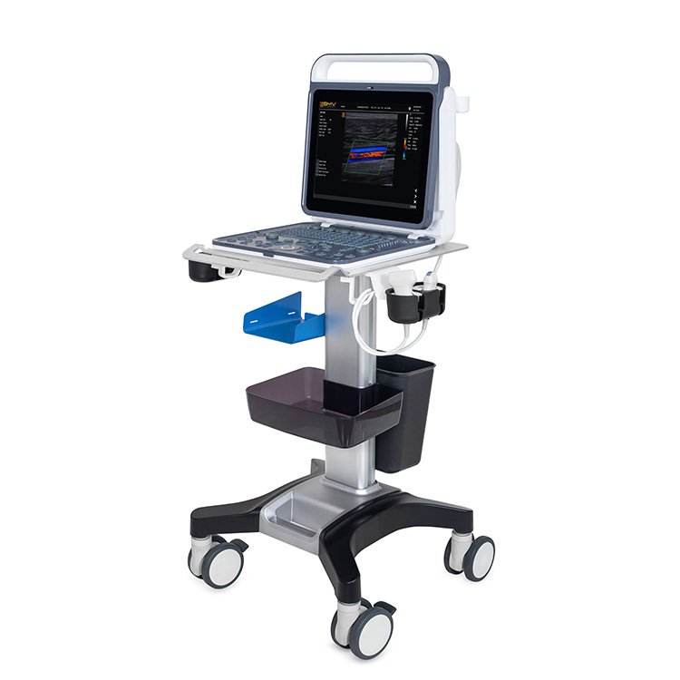 Portable laptop machine ultrasound scanner BPU60 veterinary laptop ultrasound machine for pets/ big animals