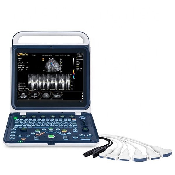 Portable laptop machine ultrasound scanner BPU60 veterinary laptop ultrasound machine for pets/ big animals