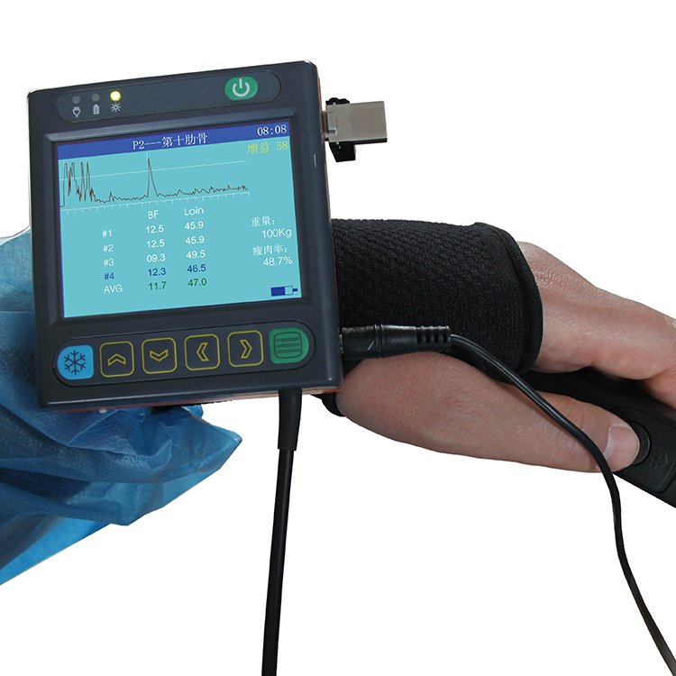 Manufacture Ultrasound Machine For Animal High Power Ultrasound Cavitation