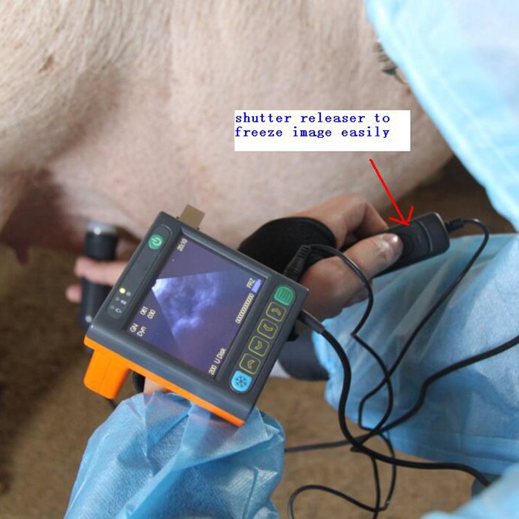 Manufacture Ultrasound Machine For Animal High Power Ultrasound Cavitation
