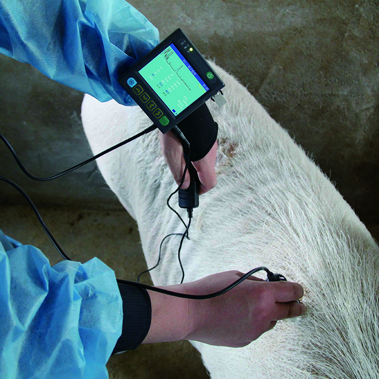Manufacture Ultrasound Machine For Animal High Power Ultrasound Cavitation