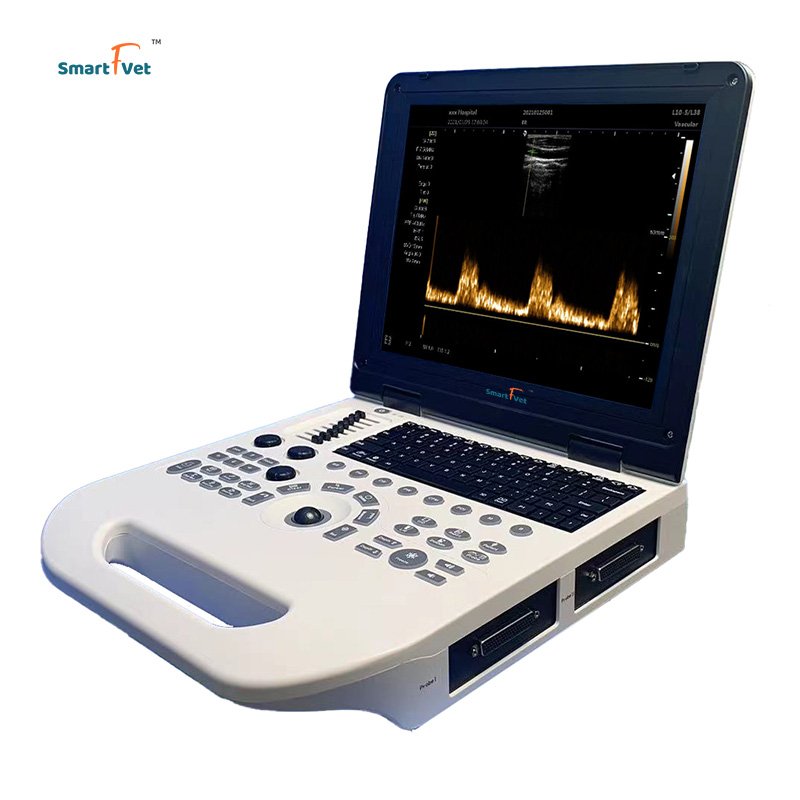 Smart F Vet Veterinary Instrument Laptop Portable Full Digital Ultrasound Machine B/W Laptop Ultrasound Scanner for animal