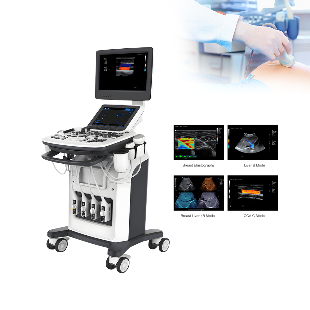 Medical animal veterinary instrument ultrasound machine price for vet ultrasound pregnancy scanner