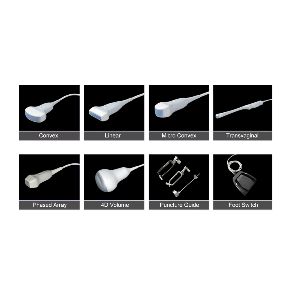 Medical animal veterinary instrument ultrasound machine price for vet ultrasound pregnancy scanner