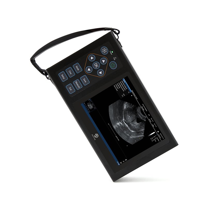 Farm Insemination Equipment Veterinary Test Pig Early Pregnancy Test Ultrasound Machine Animal