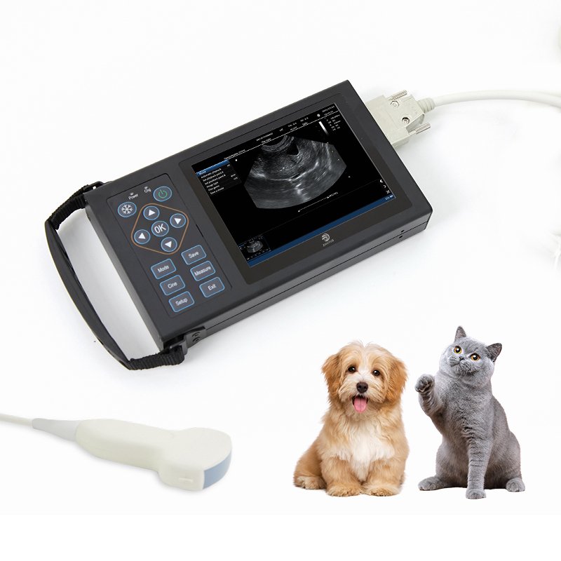 Farm Insemination Equipment Veterinary Test Pig Early Pregnancy Test Ultrasound Machine Animal