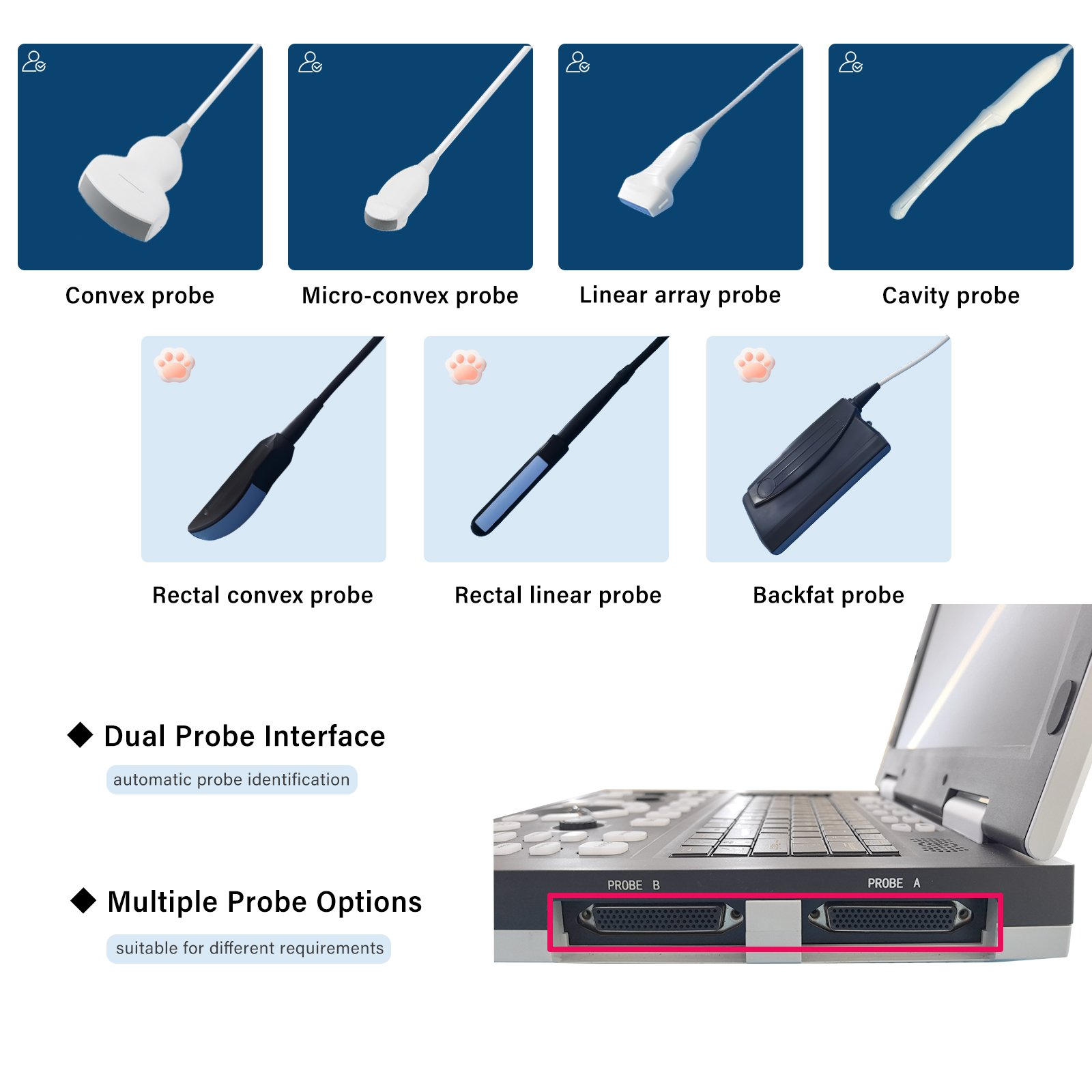Human Use Medical 2d BW Ultrasound Instruments Black And White Ultrasound Machine