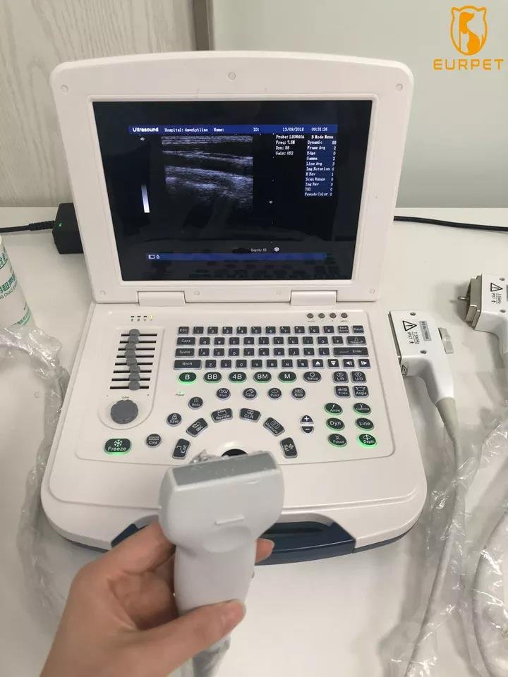 EUR PET Medical Full Digital Color Doppler Ultrasound Scanner Machine Price For Pregnant Test