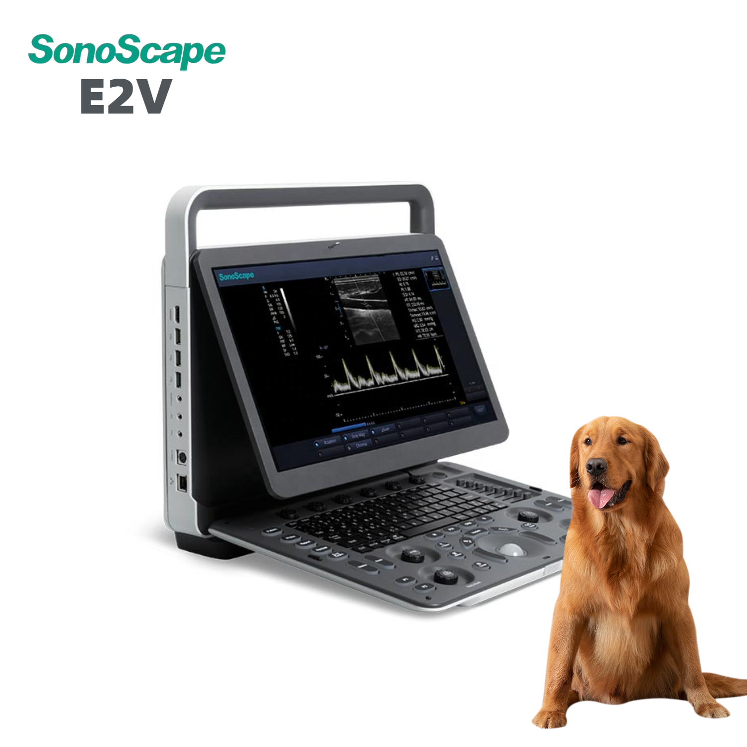 SonoScape E2vet veterinary ecocardiografo portatil ultrasound medical ultrasound instruments vet color doppler ultrasound with l