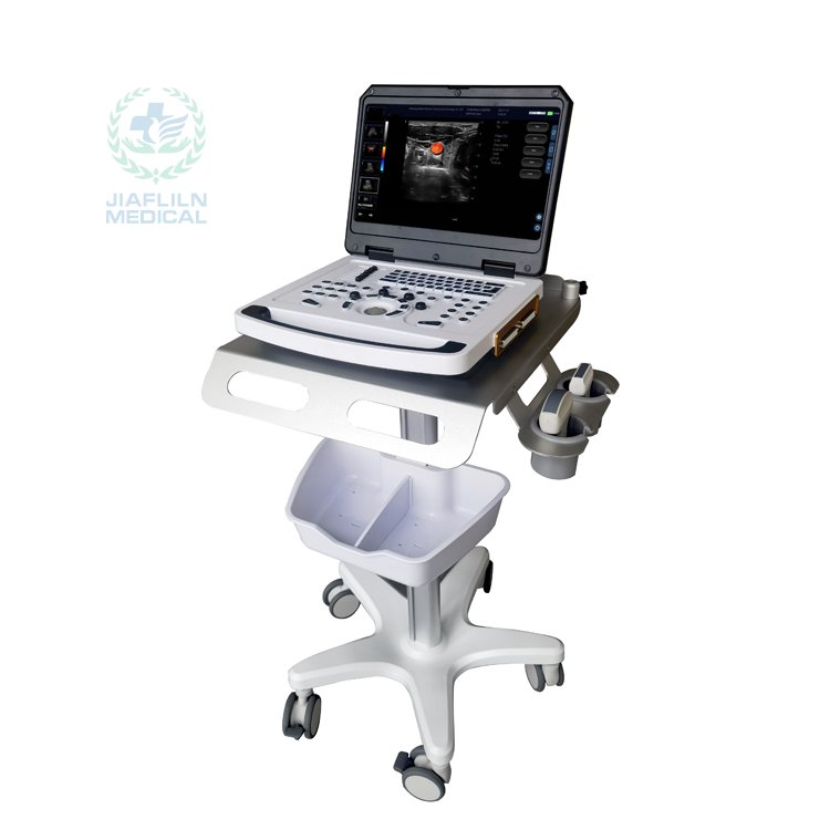 Portable Ultrasound Scanner Medical Ultrasound Instrument Color Doppler Ultrasound Machine