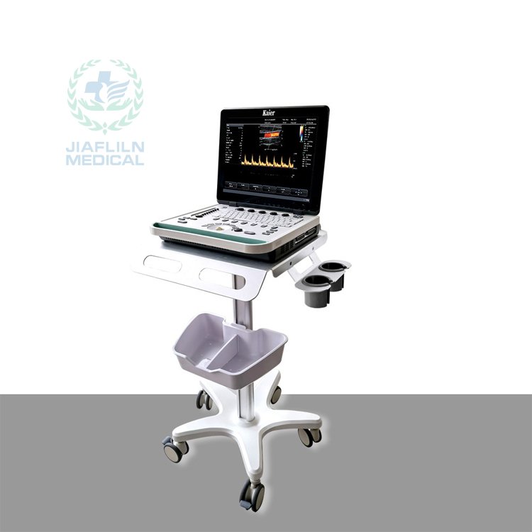 Doppler Portable 3D 4D Echocardiogram Ultrasound Machine
