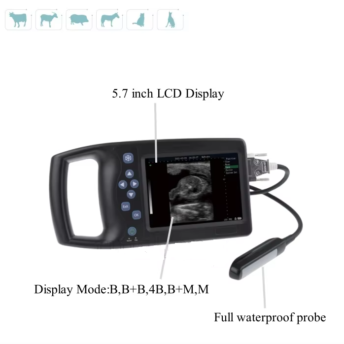 Veterinary Portable Ultrasound Machine Livestock Vet Handheld Scanner for Pregnancy B-Ultra Sound with Probe for Pig,Goat,Horse