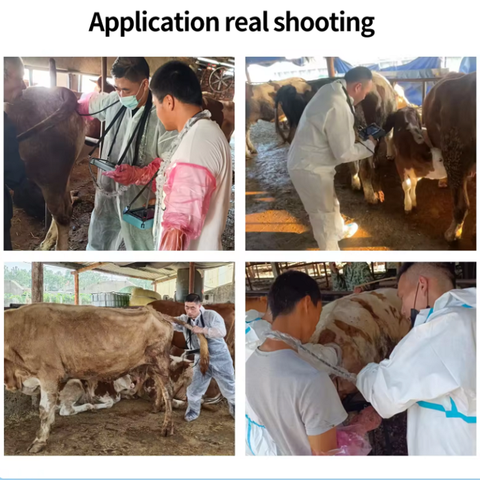 Veterinary Portable Ultrasound Machine Livestock Vet Handheld Scanner for Pregnancy B-Ultra Sound with Probe for Pig,Goat,Horse