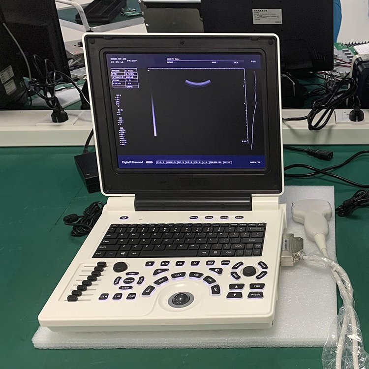 Cheapest medical full digital portable b/w 3d black and white ultrasound scanner