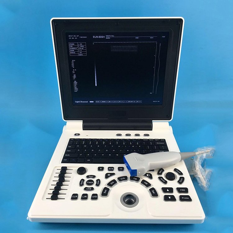 Cheapest medical full digital portable b/w 3d black and white ultrasound scanner