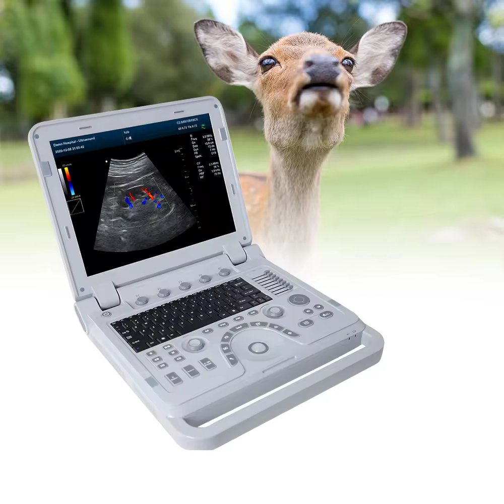 Veterinary equipment portable ultrasound scanner veterinary ultrasound machine