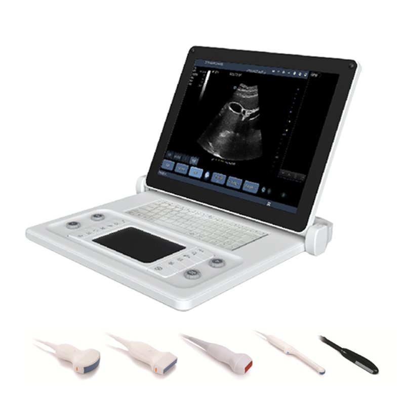 Equipos Veterinarios Medical Devices Sonde Echographique Sans fil Portable 3D/4D Vet Machine veterinary sonar Ultrasound Scanner