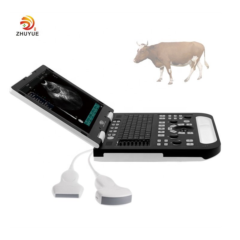 Portable Pregnancy Veterinary Color Doppler Ultrasound Machine & Portable UltraSound