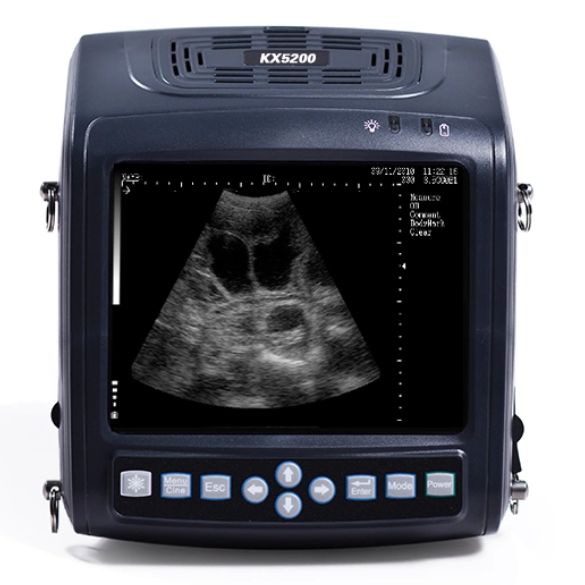 Veterinary Instrument Pregnancy Equipment Ultrasound Scanner Veterinary Ultrasound Machine