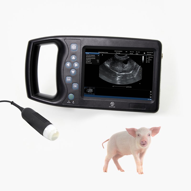 Handheld veterinary portable ultrasound scanner for animal good price ultrasound machine for dogs