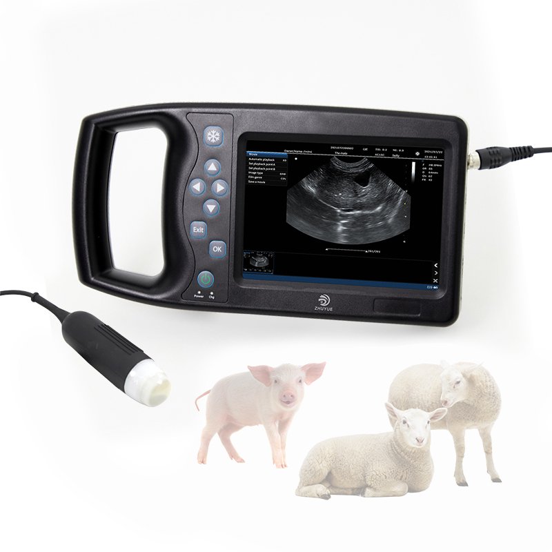 Handheld veterinary portable ultrasound scanner for animal good price ultrasound machine for dogs