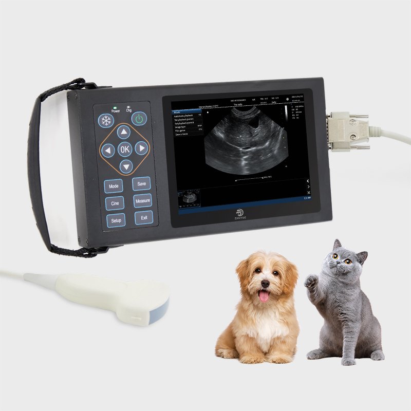 Veterinary mini portable ultrasound machine price Animal pregnancy ultrasound scanner