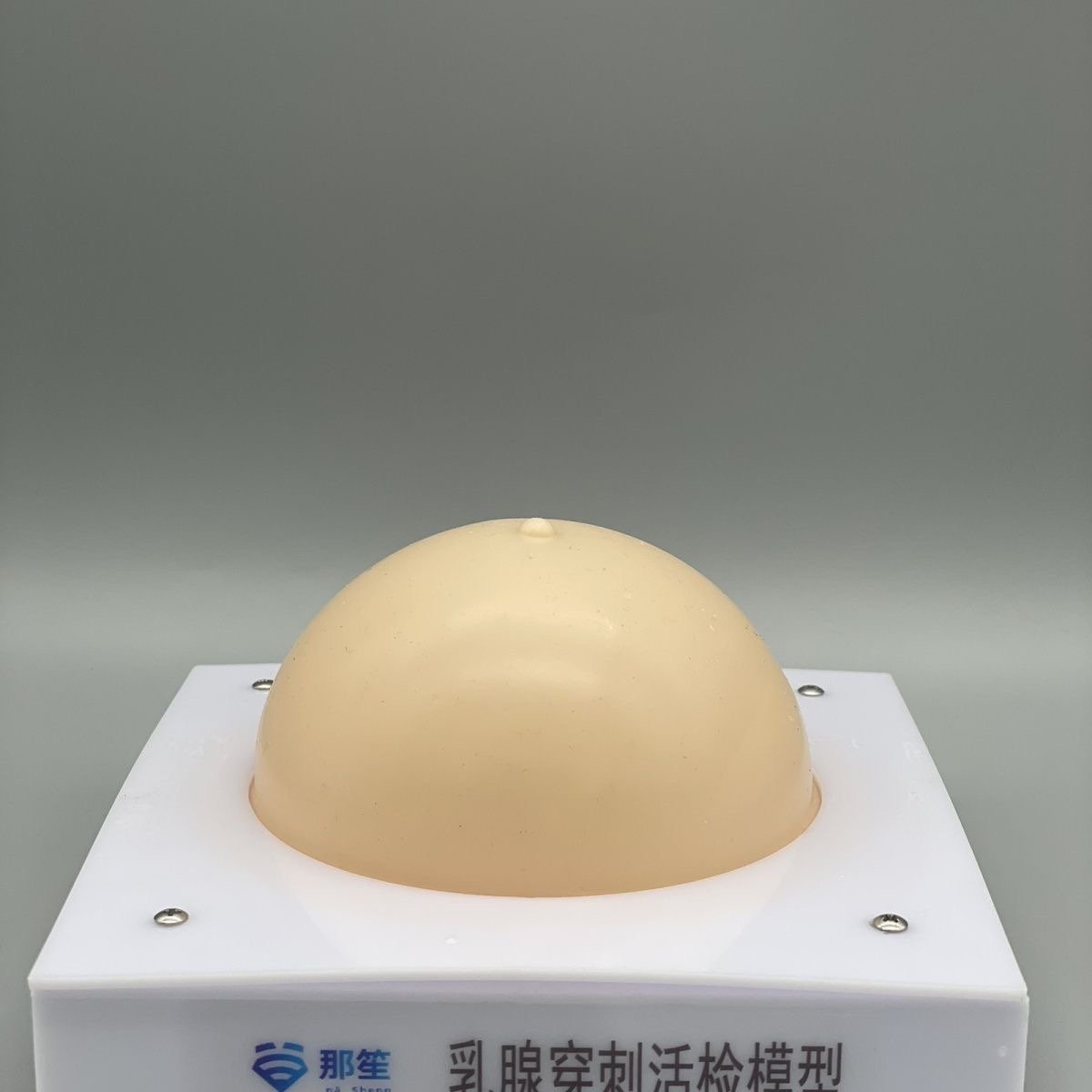 KyrenMed Breast Biopsy Model Atherectomy Ultrasound Guided Breast Tumor Treatment Biopsy Model of Puncture and Rotation
