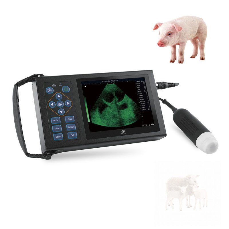 Pet Hospital Equipment ultrasonido Handheld vet portable USG full digital portable Veterinary ultrasound machine