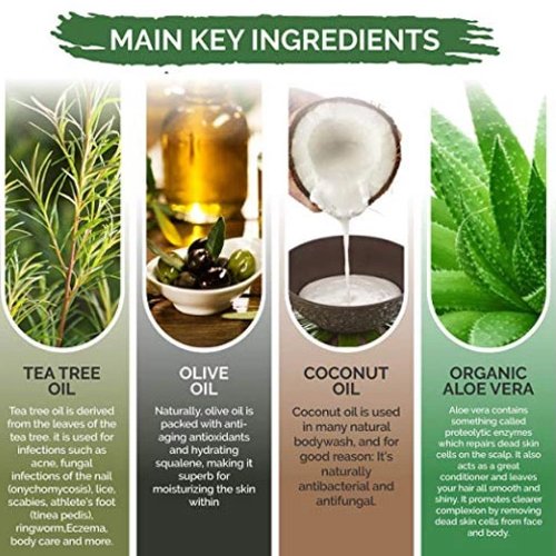 tea tree 500ml anti-bacterial deep cleaning body wash shower gel wholesale moisturizing body shower gel