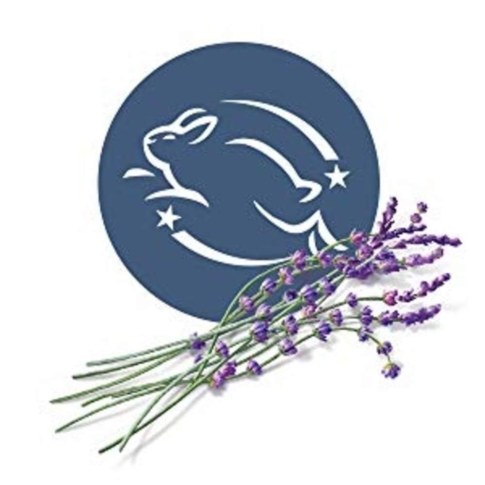 Private Logo Customization Large Volume Moisturizing Nourishing Lavender Bath Shower Gel Body Wash for Family Use