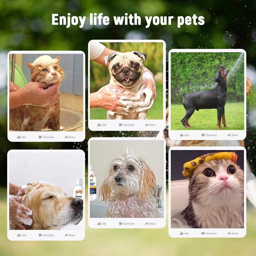 dog Pet Cleaning Shampoo Natural Shampoo Fragrant And Nourishment Soft Dog Product