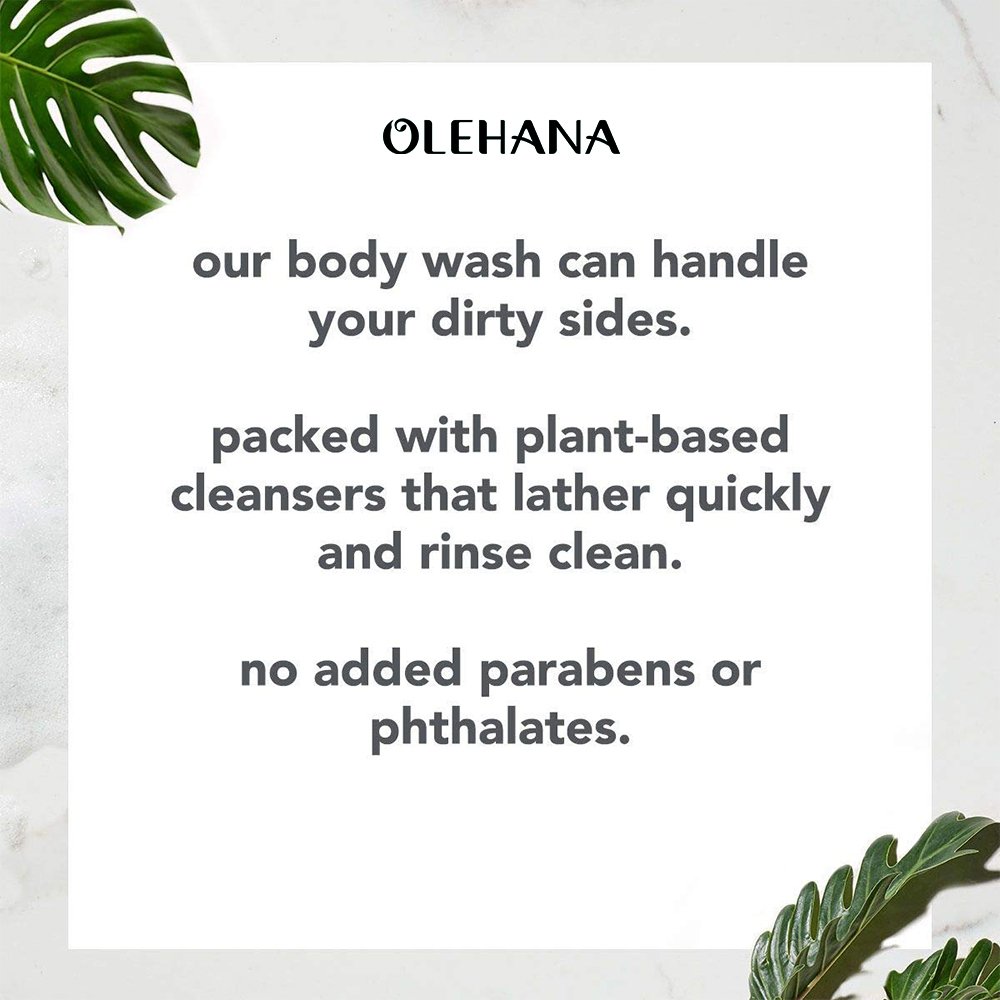 Private Label Shower Gel Sandalwood + Vetiver, Paraben and Phthalate Free men body wash