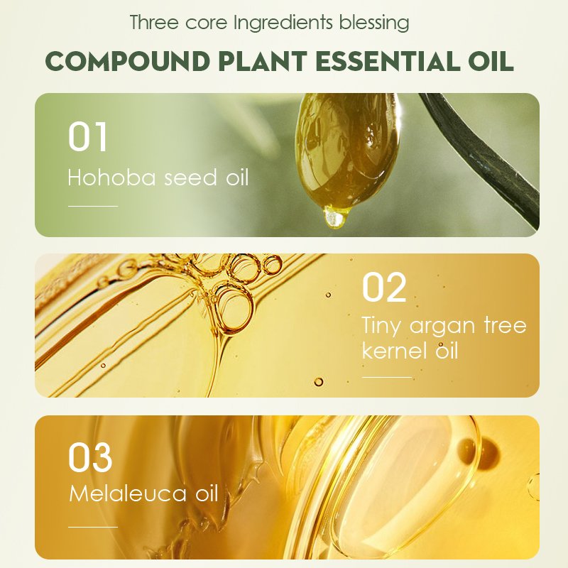 OEM Custom Bath Care 6-piece set Natural Organic Olive Oil Dandruff Control Shampoo Nourishing Hair Mask Fragrance Shower Gel