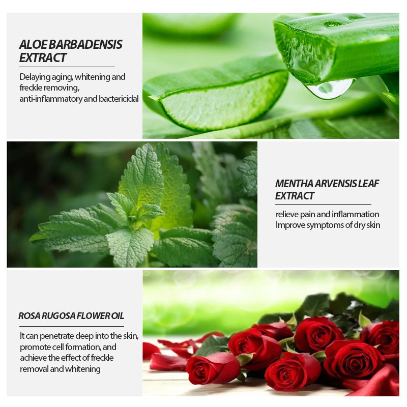 Gmpc Certificated Deeply Cleanses Skin Body Shower Gel Strawberry 2 In 1 Rose Oil Body Wash Foam