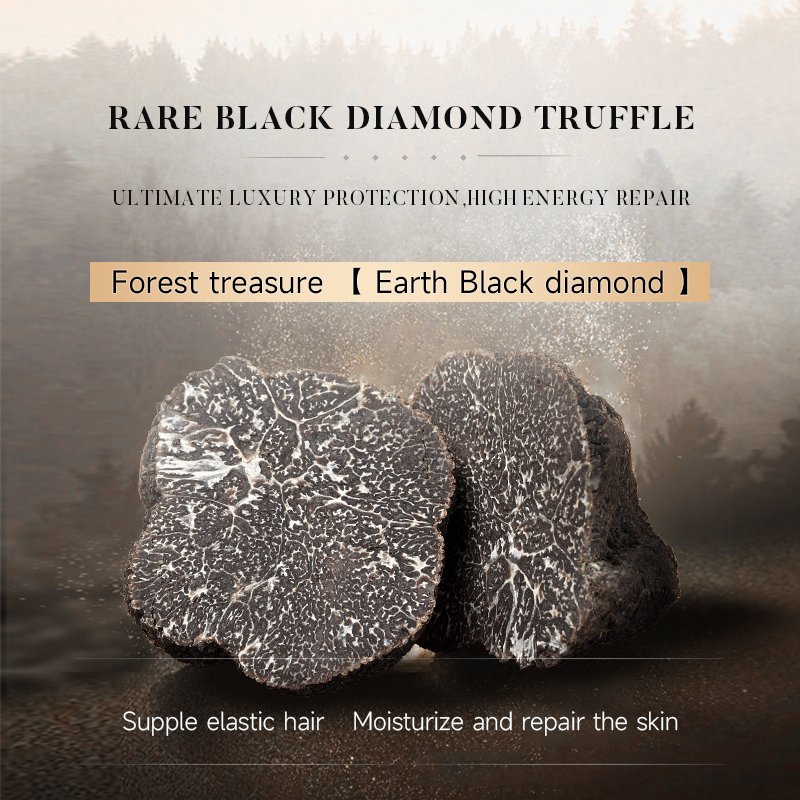 Wholesale Body Care Set Black Truffle High Quality Body Lotion Shower Gel Shampoo Hair Mask Home Bath Set