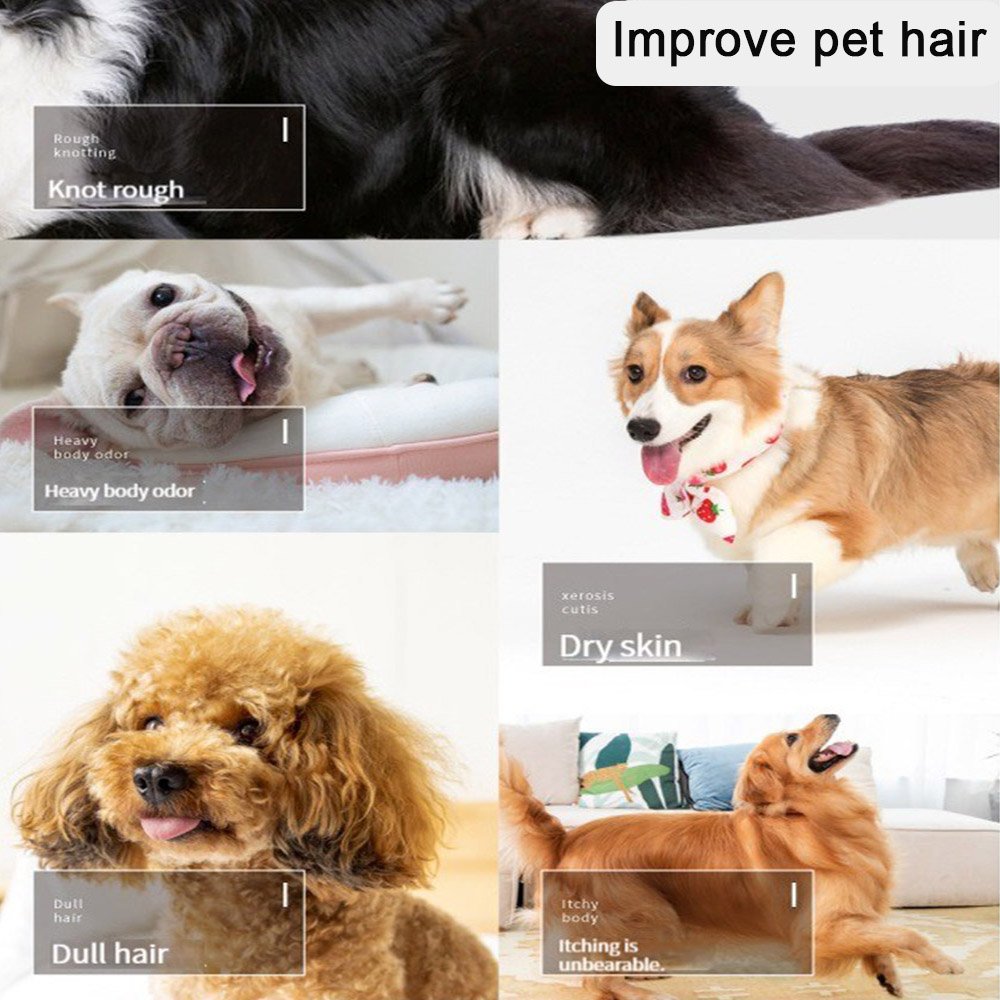 iGouer Deodorization Moisturizing Pet Shampoo Dog Shower Gel for Dog Body Wash