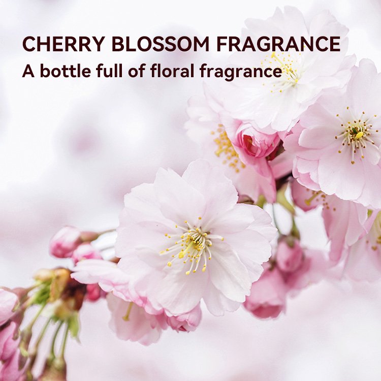 Hot selling fragrance cherry blossom petal shower gel for moisturizing long-lasting fragrance skin rejuvenation exfoliation