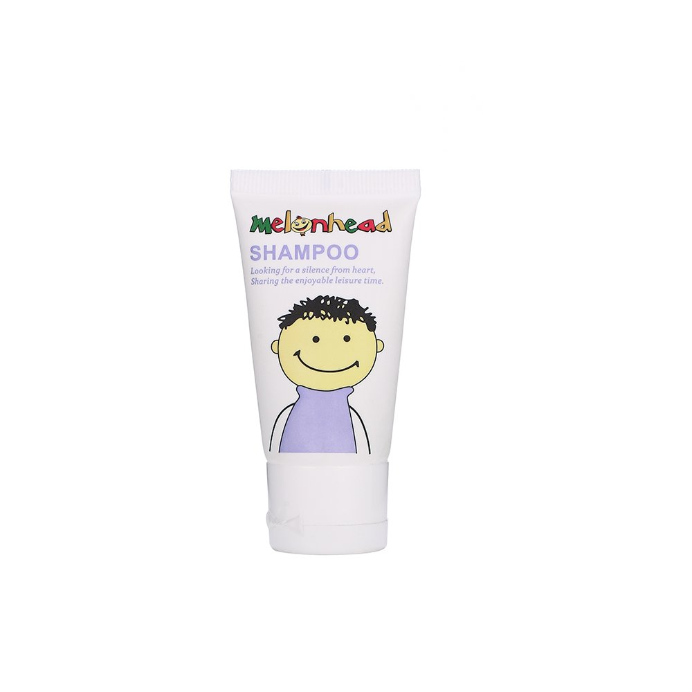 Custom Logo Bathroom Toiletries Set Hotel Amenities Mini Disposable Hotel Shampoo Shower Gel